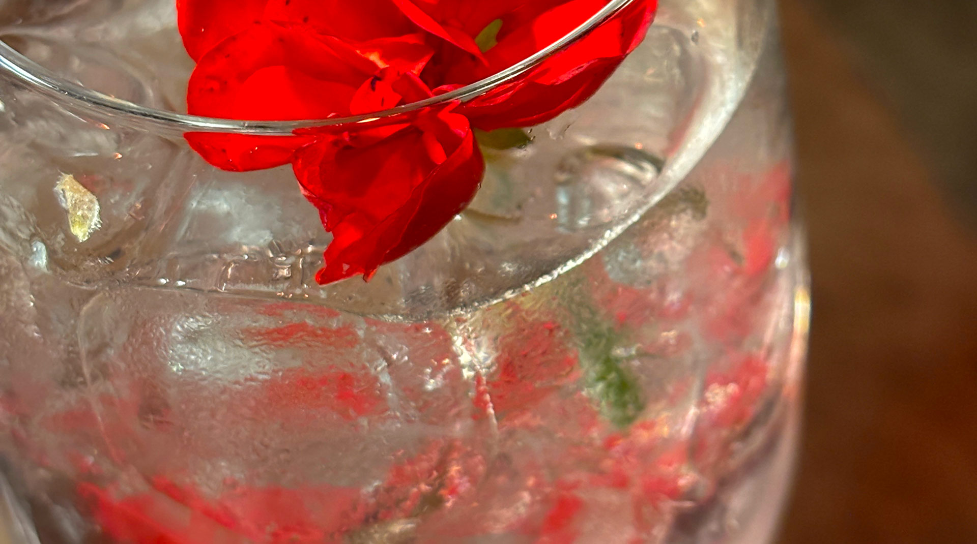 Primo piano su un bicchiere colmo di ghiaccio. In superficie, una guarnizione floreale rossa accesa. La luce evidenzia texture e trasparenze, con riflessi rossi diffusi sul vetro.
